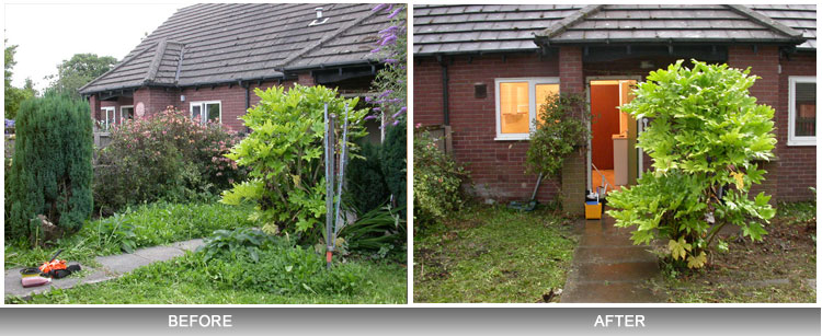 Garden cleanup from Glendahand - before and after comparison